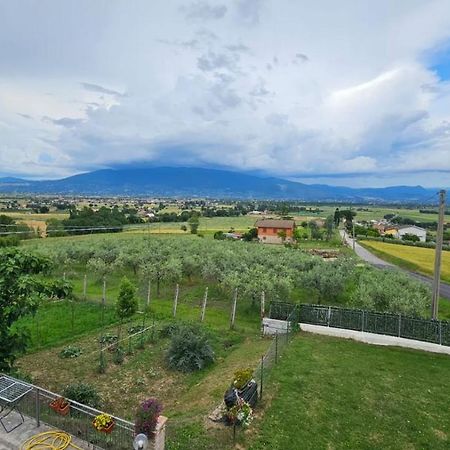 Delizioso Appartamento Collinare Limigiano Kültér fotó