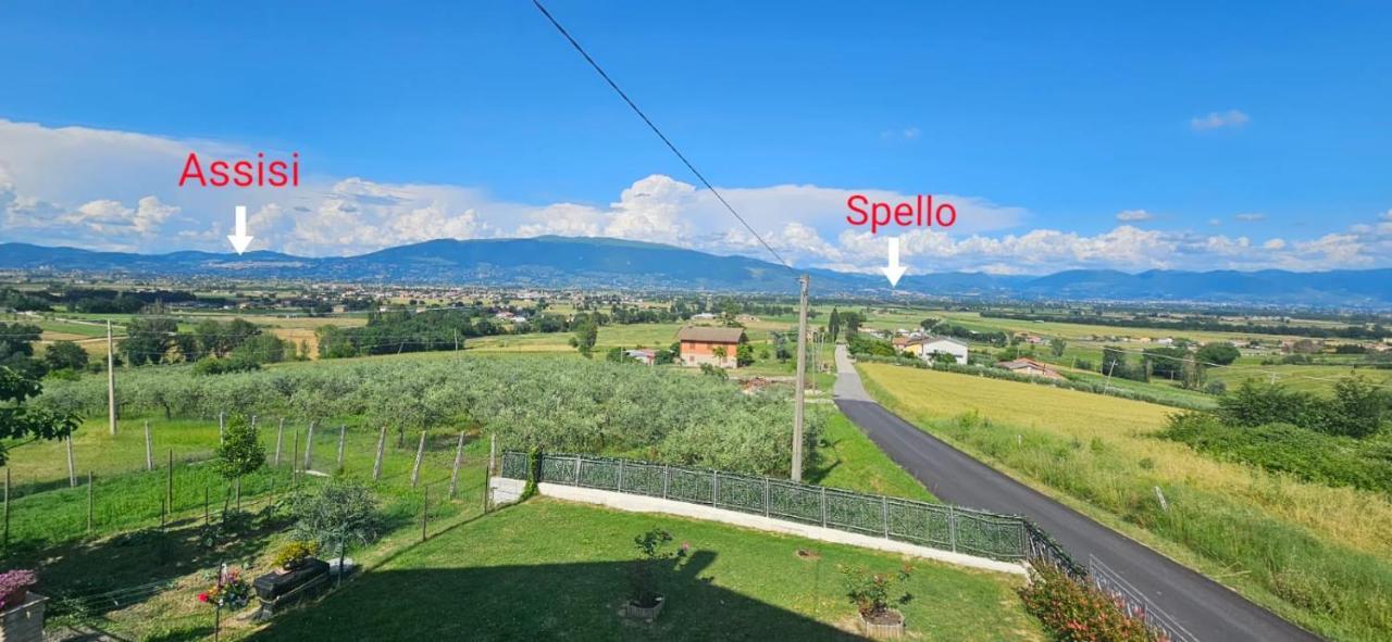 Delizioso Appartamento Collinare Limigiano Kültér fotó