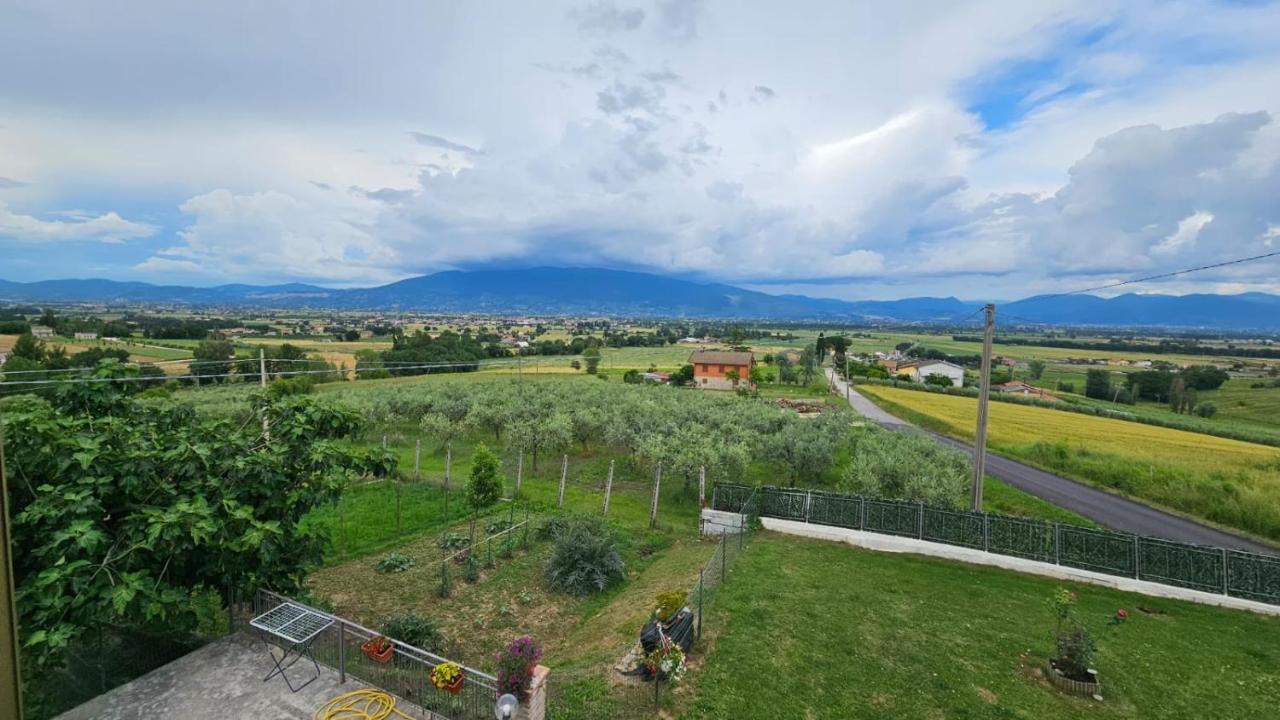 Delizioso Appartamento Collinare Limigiano Kültér fotó
